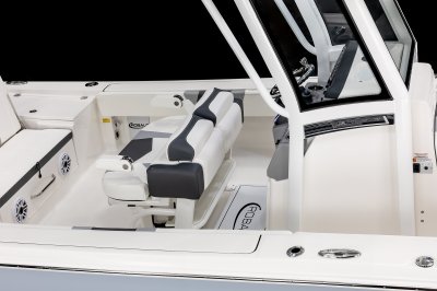 Robalo R266 Cayman Leaning Post