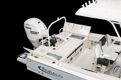 Robalo R266 Cayman Transom Storage