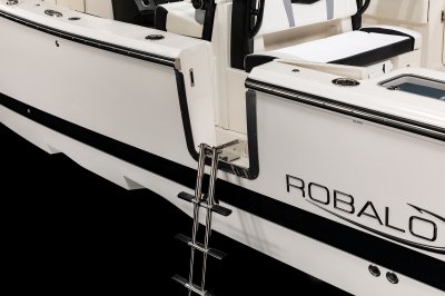 2026 R360 Side Entry Ladder