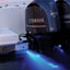 Dual Color LED Underwater Lights (2 each)