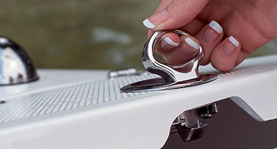 Stainless Latch